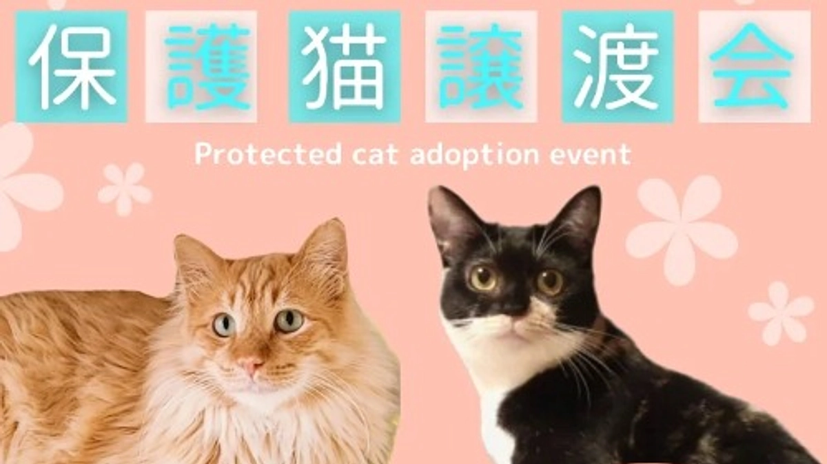 【ご支援200万円まで残り11.9万円です！】4月14日(日) 麻布十番「譲渡会」のお知らせ✨