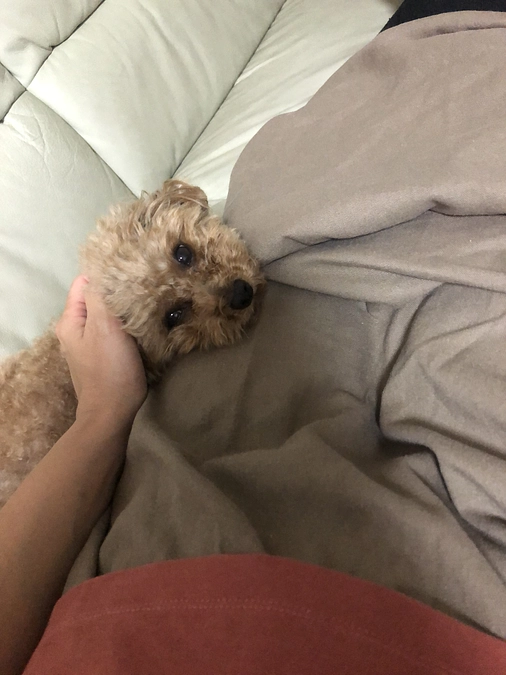 愛おしき日常です！