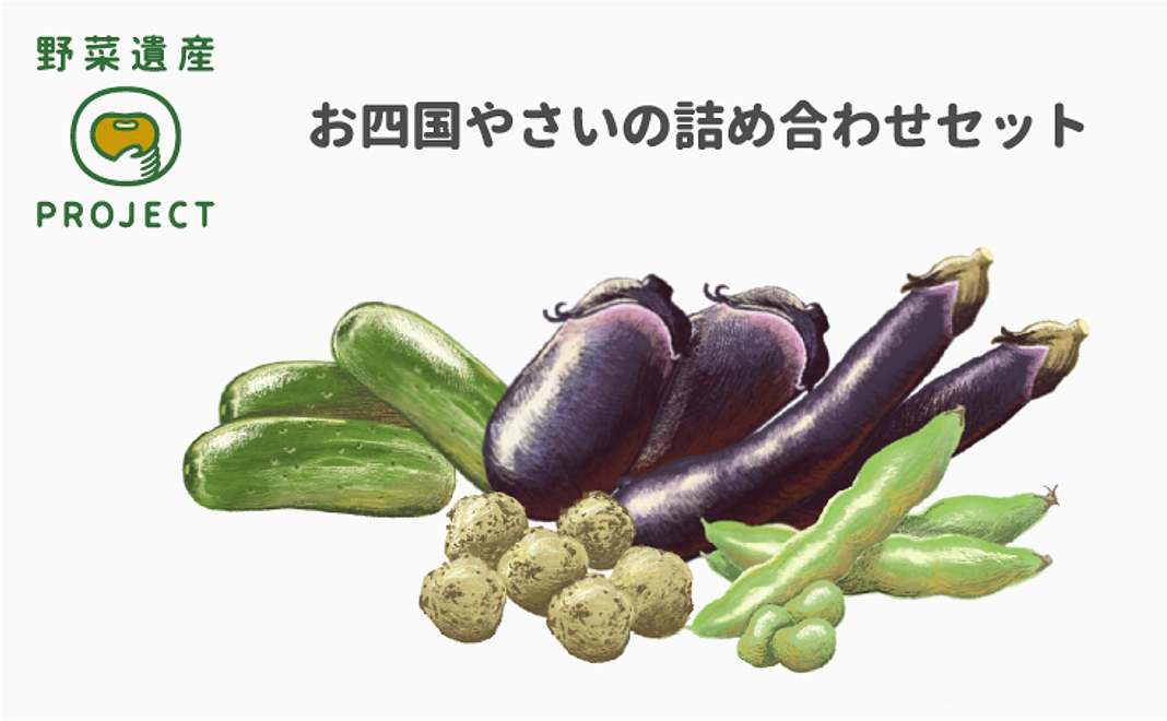 お四国やさいの詰め合わせ