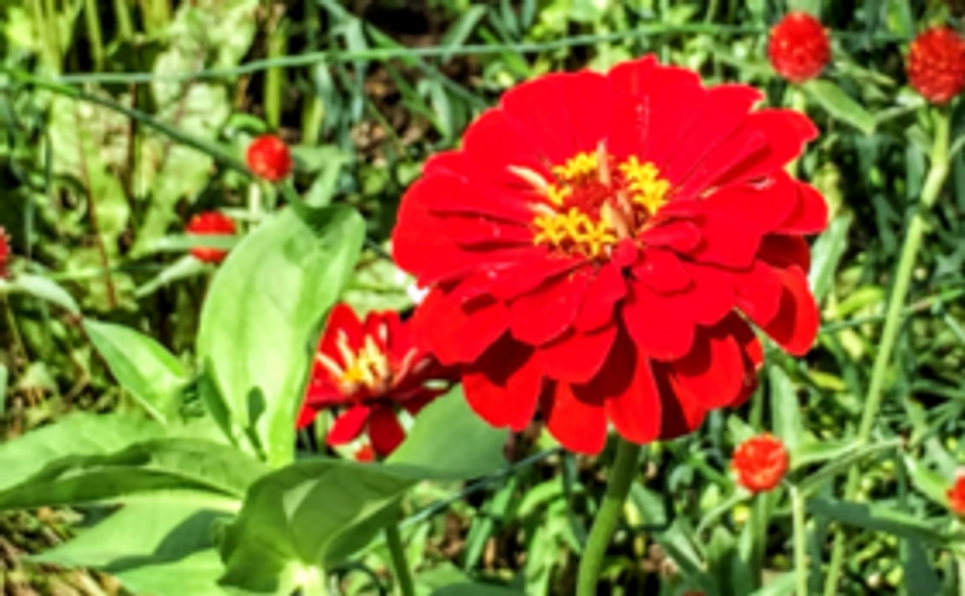 お礼のメールをお送りします