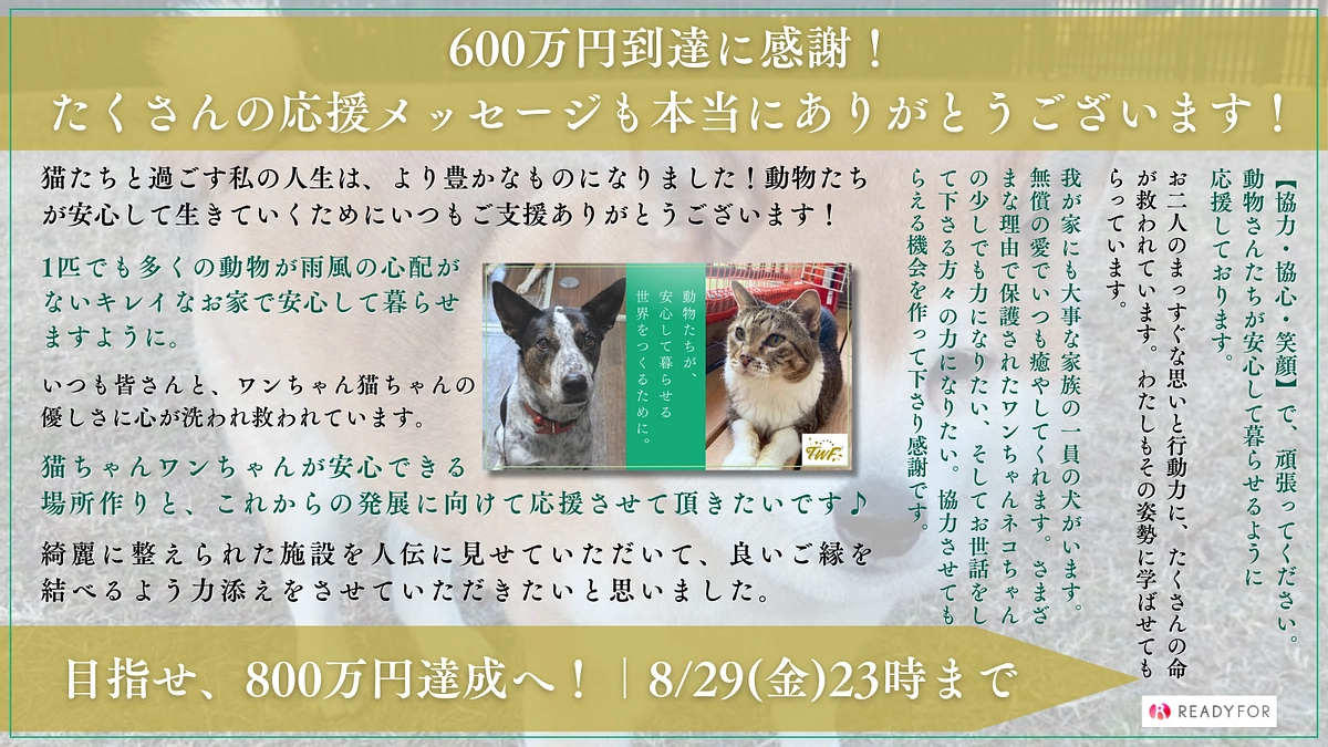 【お礼】ネクストゴール600万円を達成しました！1年分の赤字解消にむけて最後のゴールを掲げます！
