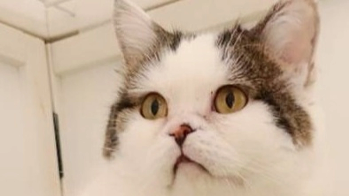 【ご支援者様100名突破の御礼】応援コメントの紹介（1）