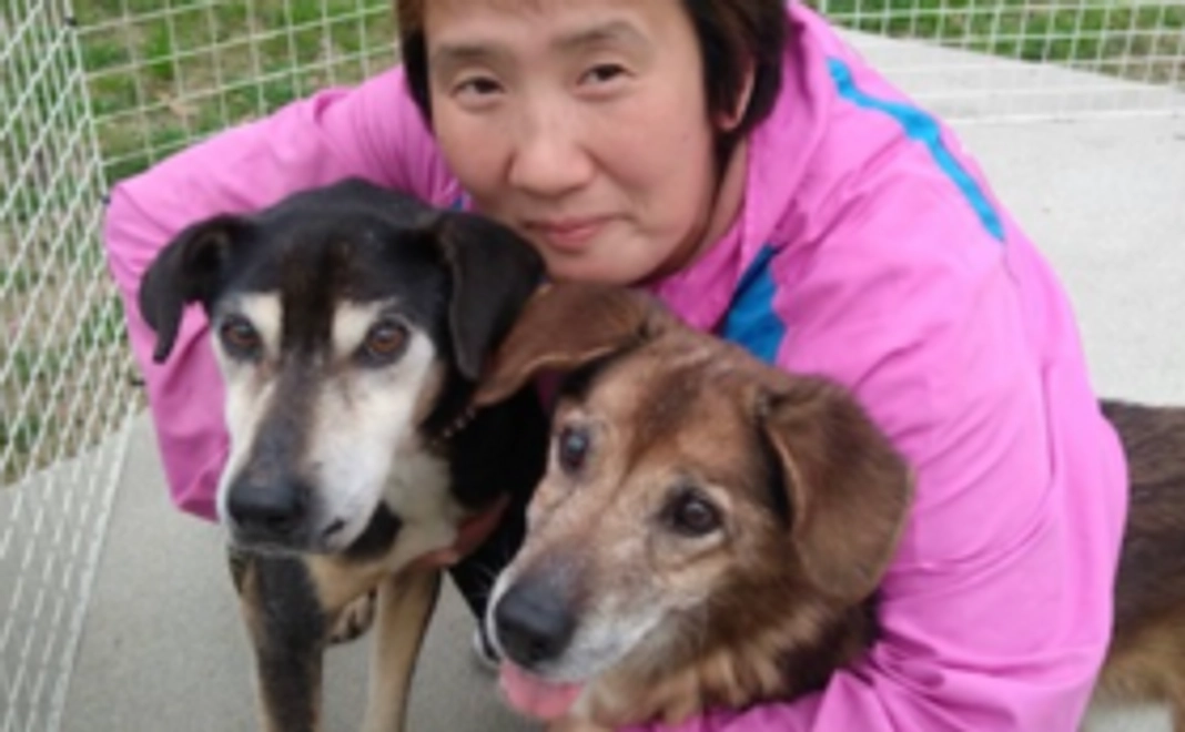 プロジェクト応援！ファイトコース