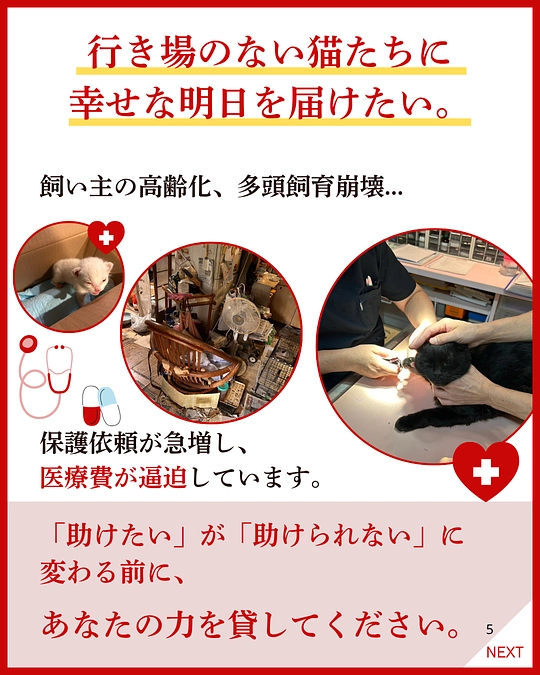 📣くすのきからのお願いです🙇‍♀️