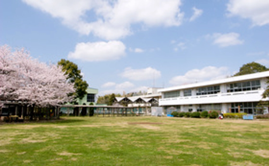 サンクスメールをお送りします！