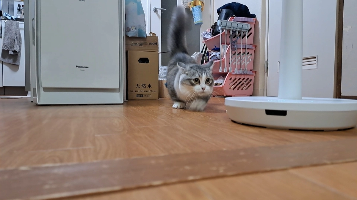 治療37日目のココロ