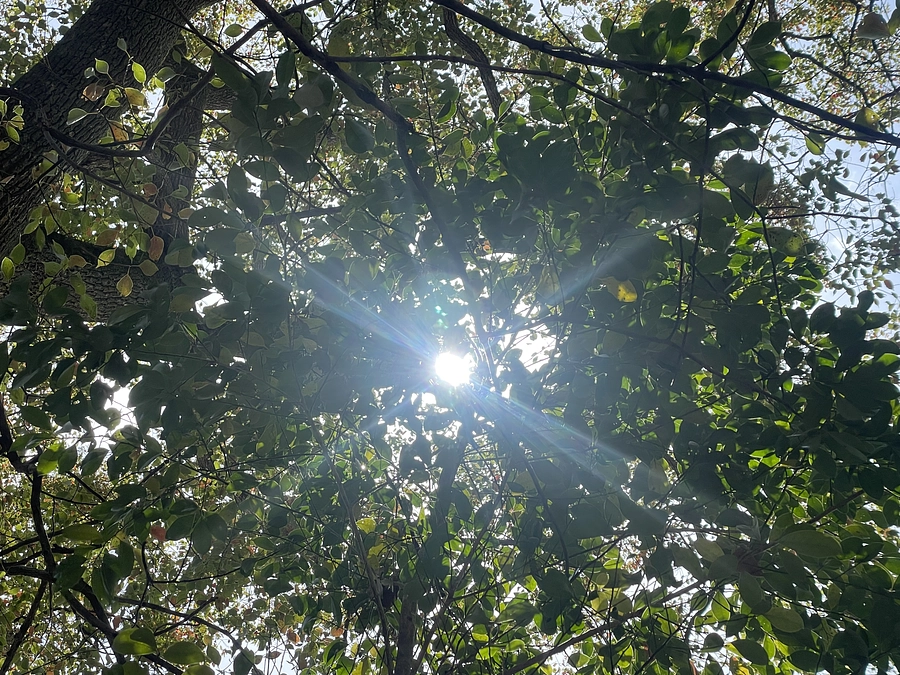 【残り12日！】心よりの感謝とラストスパートのお願いです！！