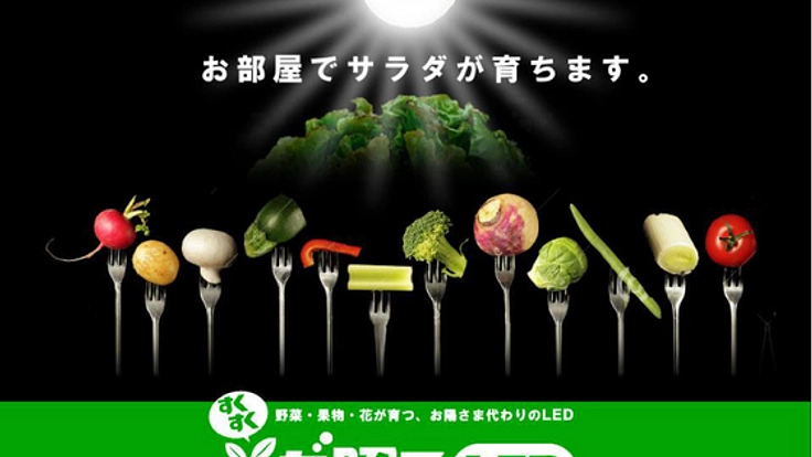 自宅にプチ農園を！！LED電球で安心の野菜を作りませんか？