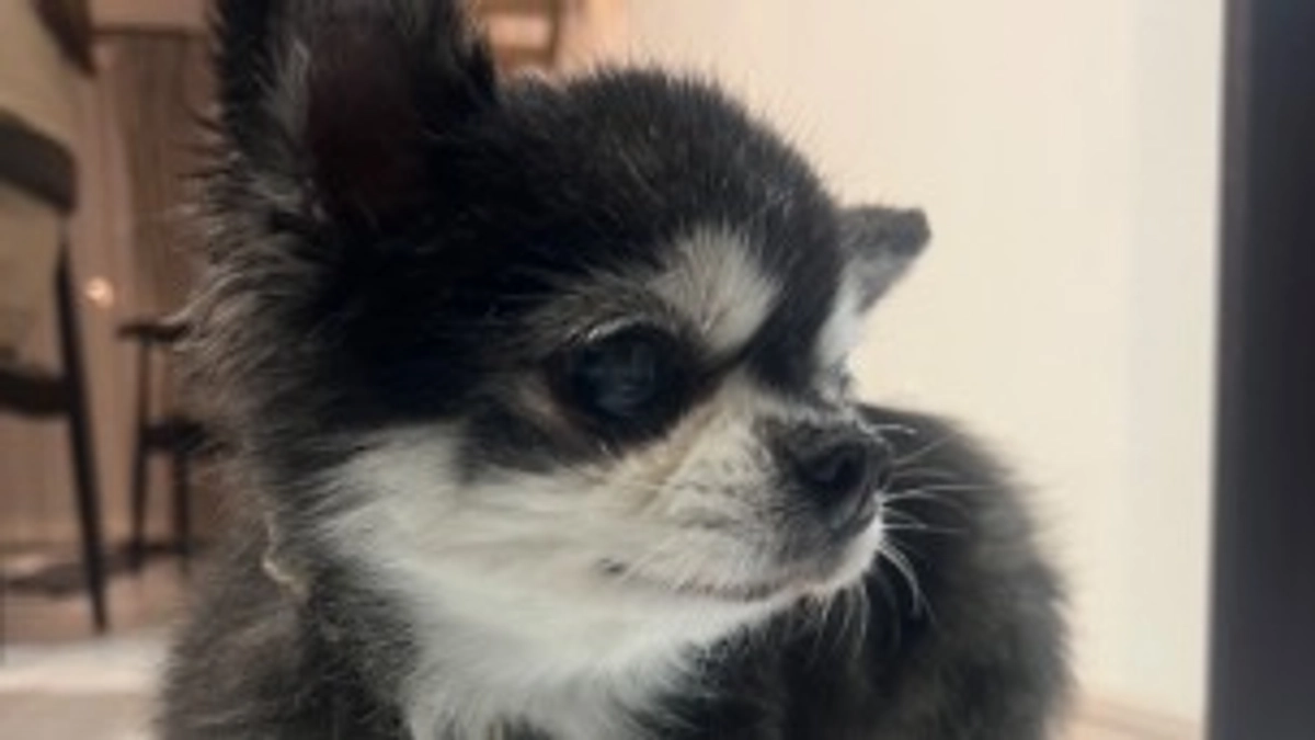 残り72時間切りました。