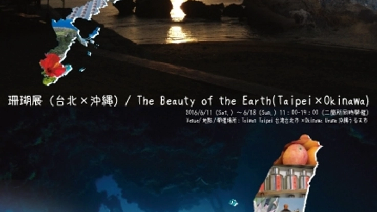 海を挟んだ沖縄と台湾を結んで海とサンゴの展覧会を開きたい
