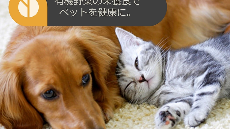 熊本復興応援！地元野菜を使ったペットのための栄養食を届けたい