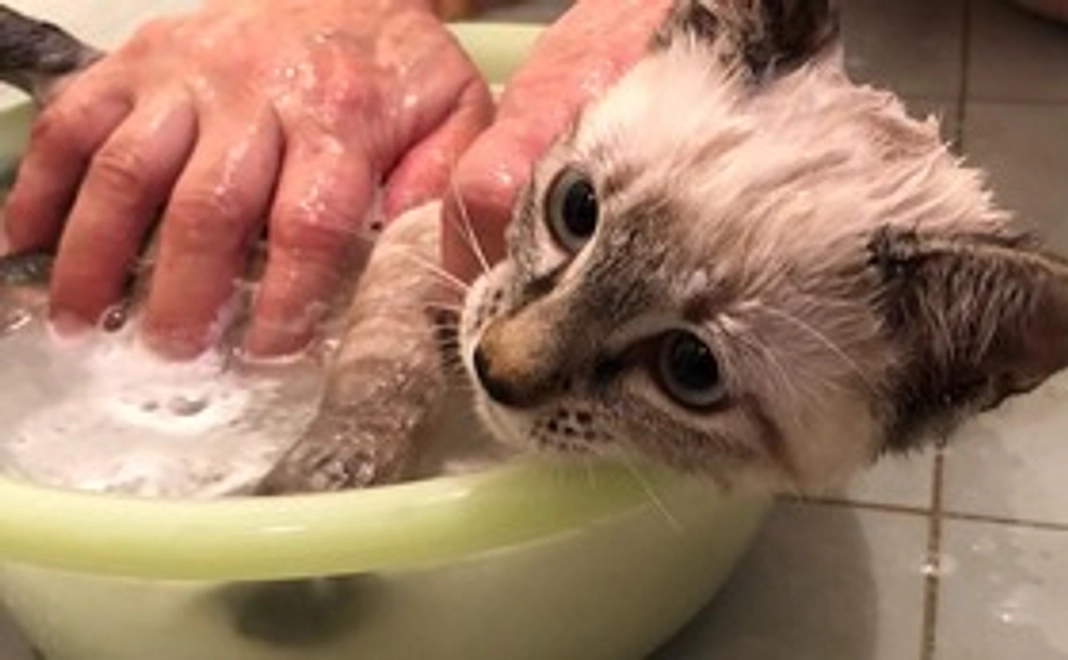 感謝のメール[1000]