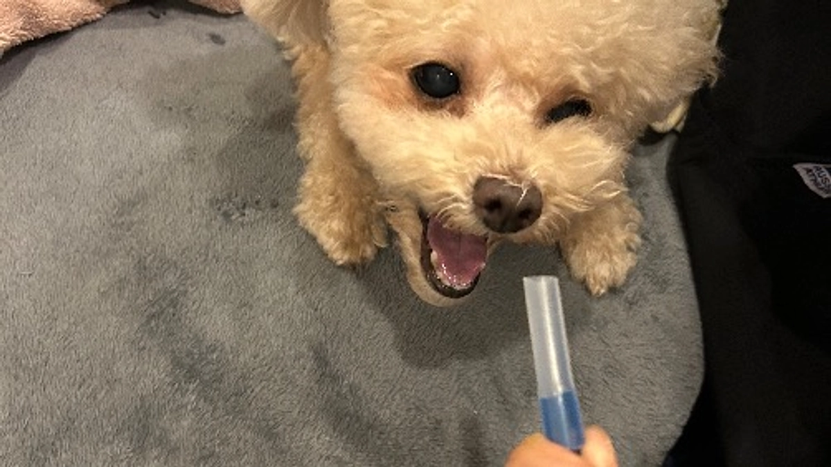 『心タンポナーゼ』になりました…