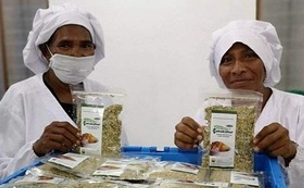 3,000円寄付コース