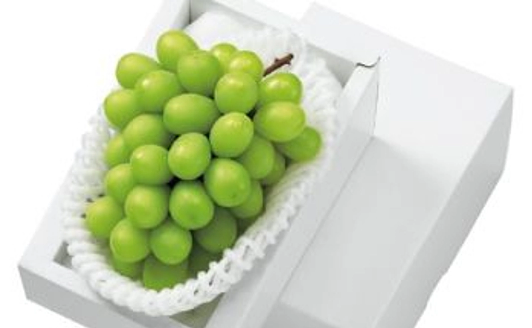 岡山県産シャインマスカット1房