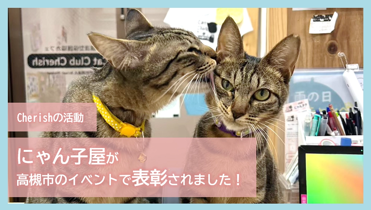 Cherishの活動｜にゃん子屋が高槻市のイベントで表彰されました！