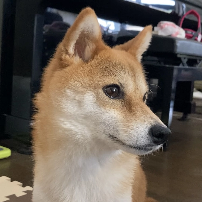 ヒゲが減っています【副作用】