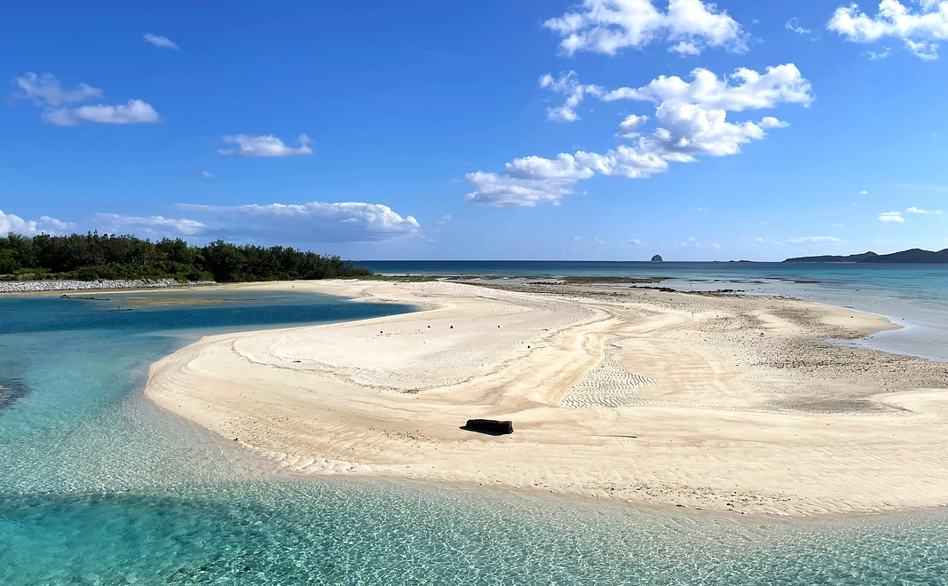 【寄付型：3,000円】お礼のメール・寄付証明書つき