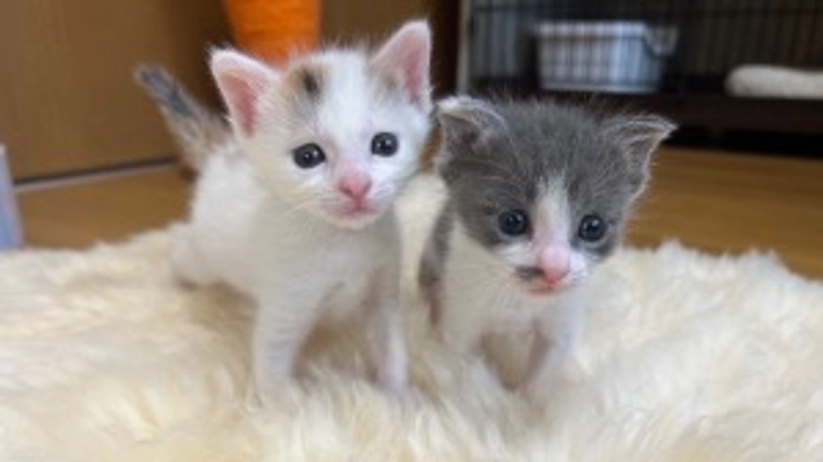 沢山のご支援ありがとうございます！