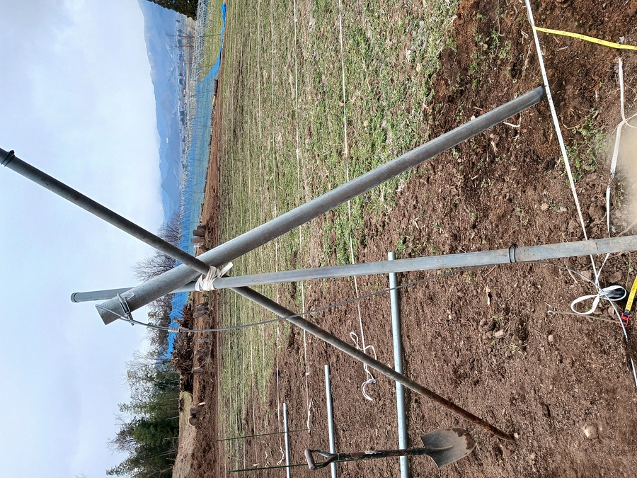 畑作り開始しました！