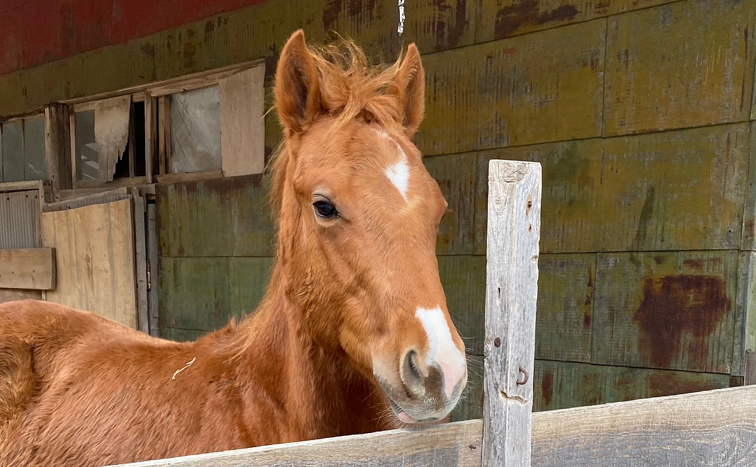 5000円 応援お願いします！