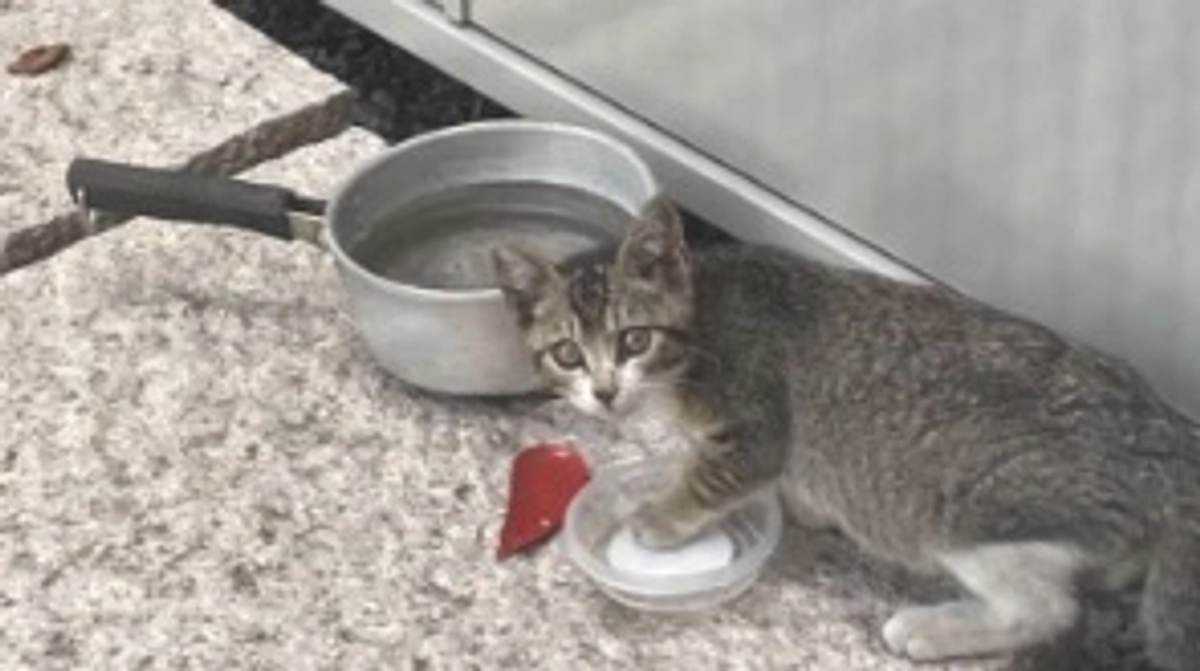 今だけは雨降らないでね。