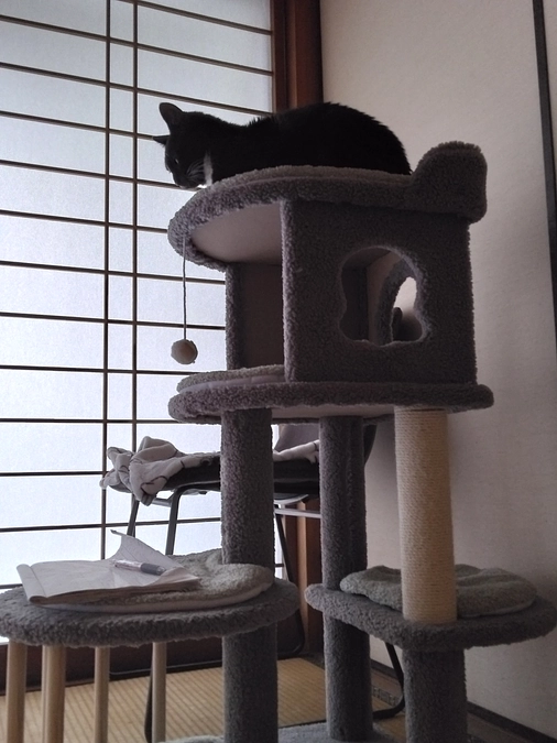 1/27はなちゃんの様子