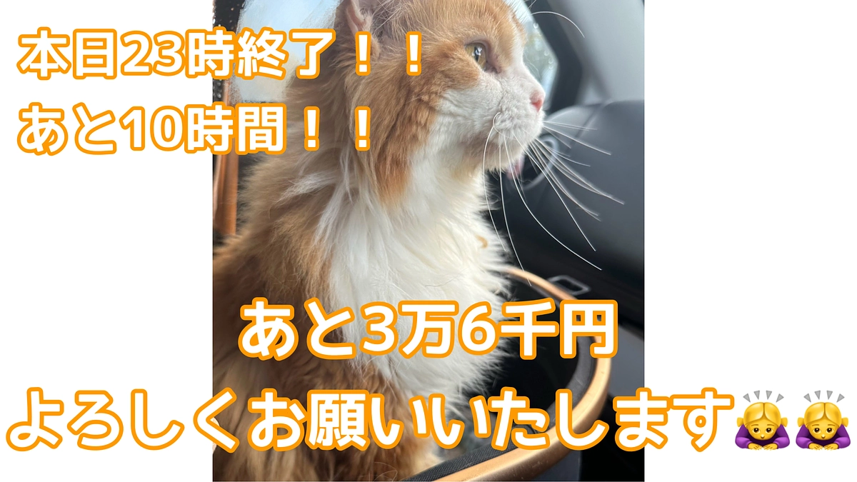 病院で血液検査　締切まで残り10時間！！