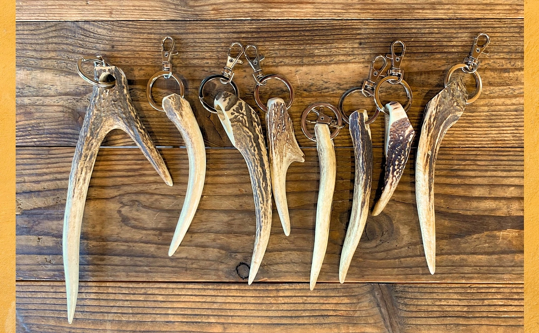 鹿角キーホルダーコース（ランダムお一つ）