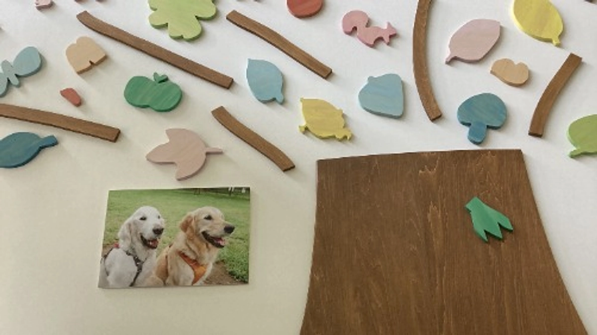 ７月１日はファシリテイドッグの日です！