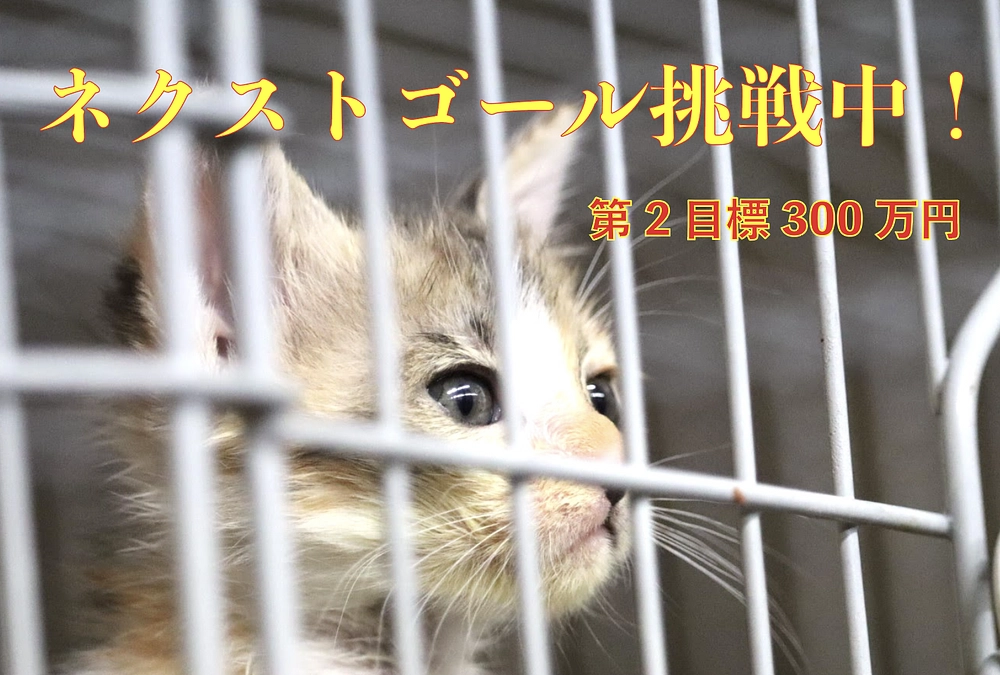 第一目標達成！！