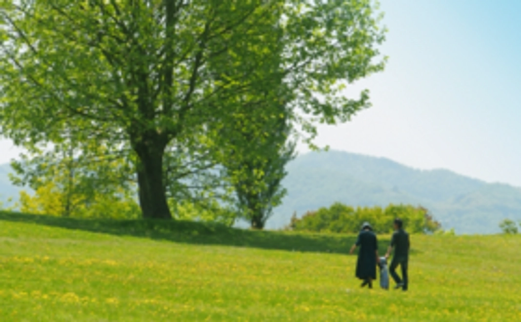 お礼のメール、提言書（PDF)