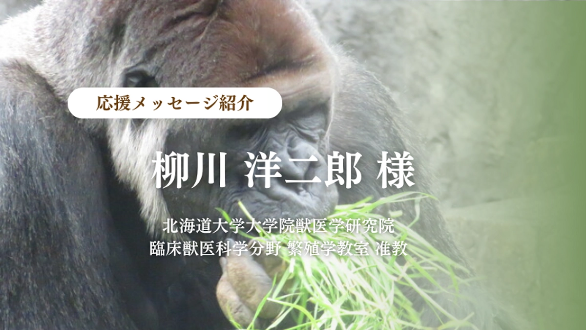 北海道大学大学院獣医学研究院 准教 柳川 洋二郎様からの応援メッセージのご紹介
