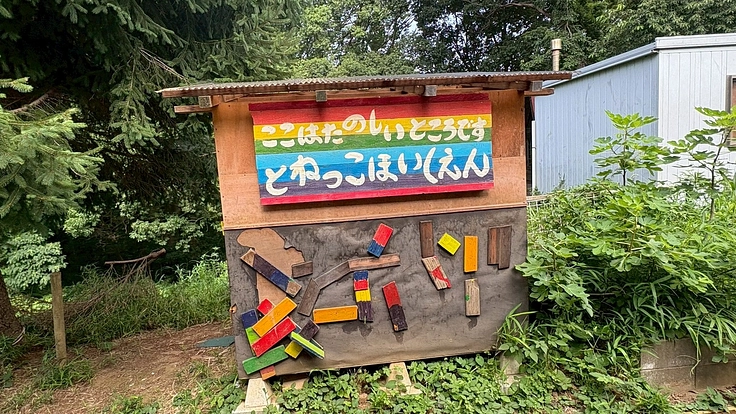 【茨城県取手市】森の中にある保育園の未来を繋ぐプロジェクト「伐採」