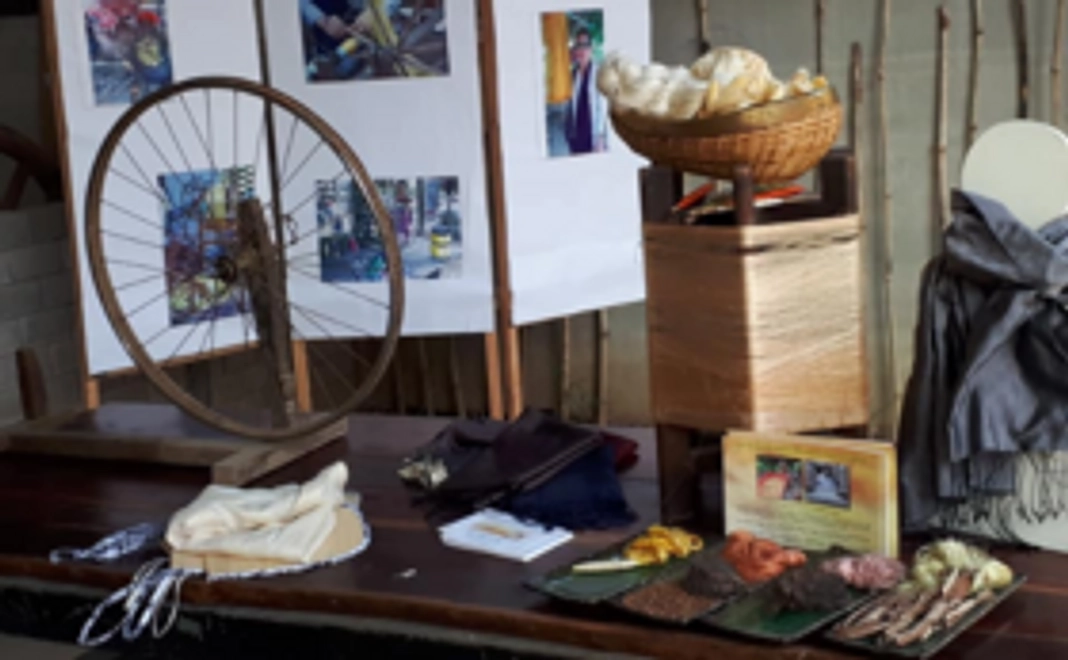 【達成を祝って】気軽に応援コース！