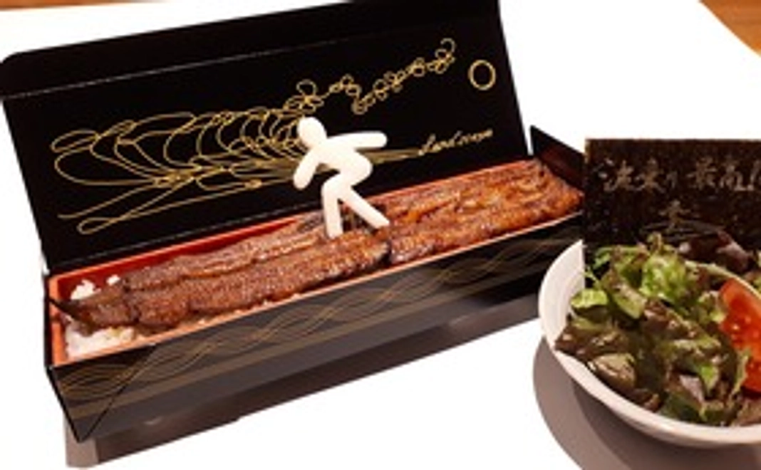 波乗りうな重キット1人用(冷凍)