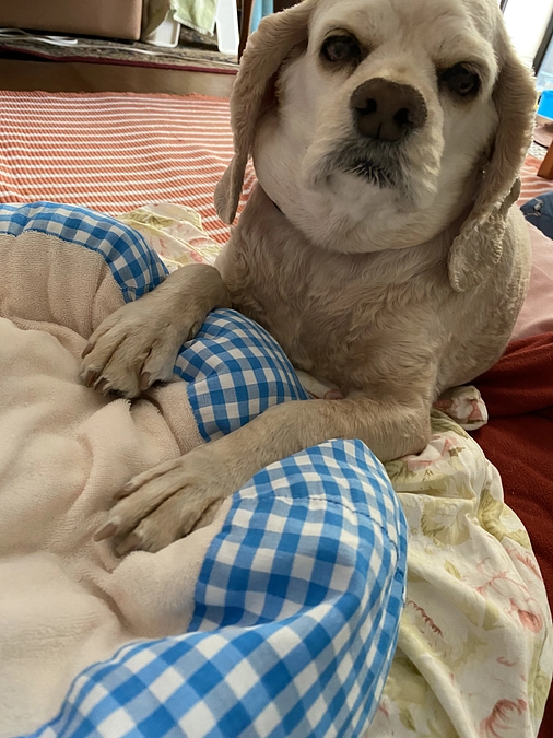 あと24日残りになりました　皆様の応援お願い致します