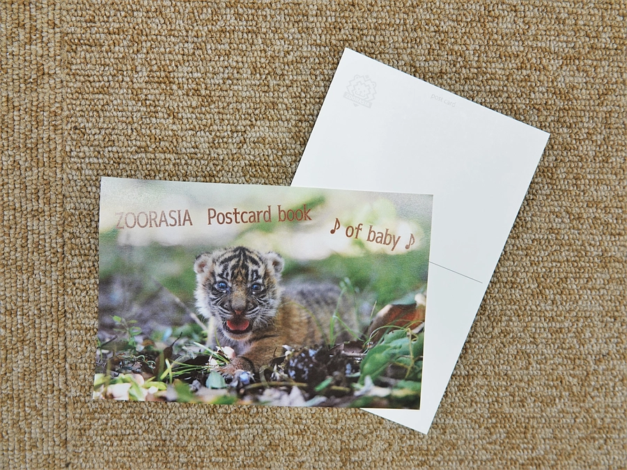 おすすめリターン紹介⑬　ズーラシアポストカードブック of baby