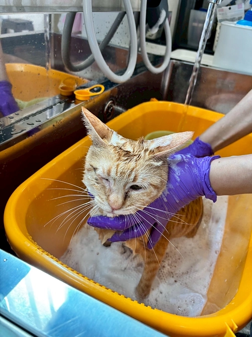 Instagram LIVE配信(緊急生配信)5月16日