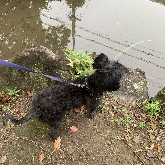 残り後5日となりました