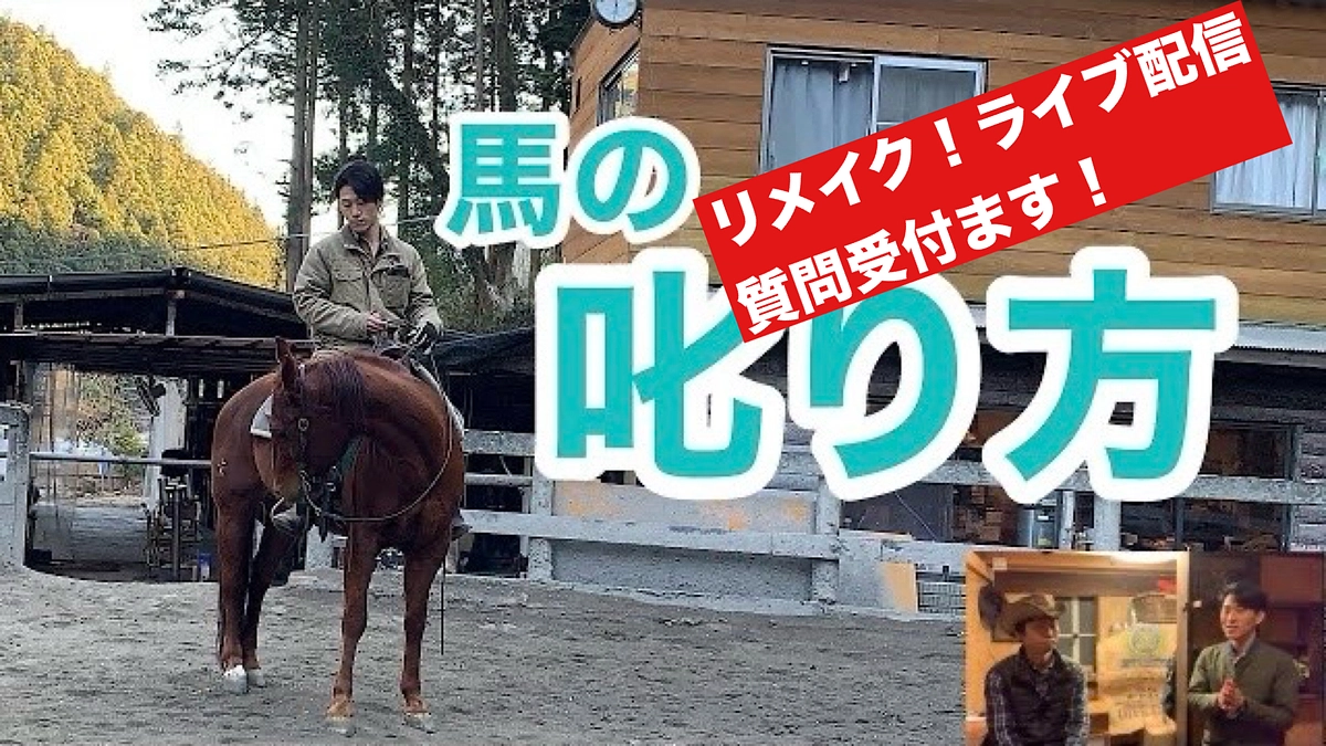 １週間経ちました