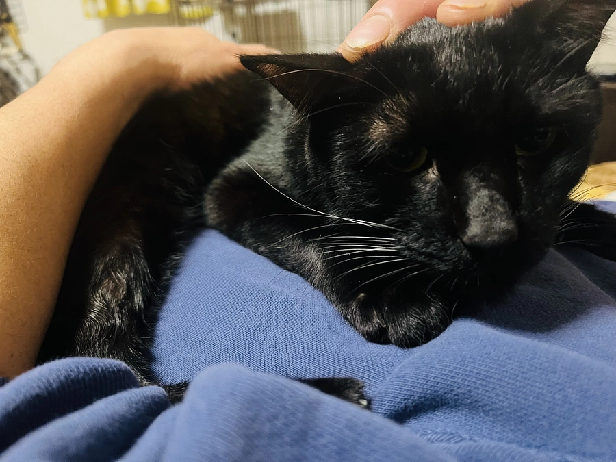 ご支援ありがとうございます。