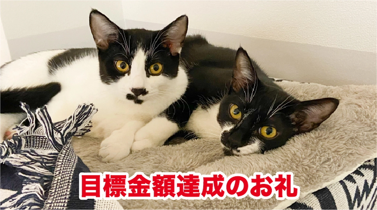 目標金額達成のお礼