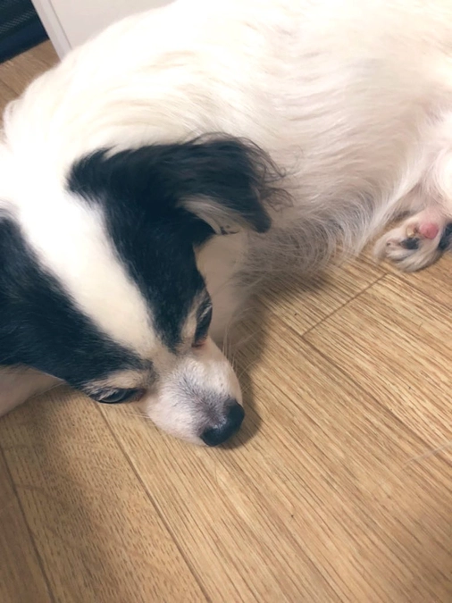 腎臓がかなりダメージを受けています