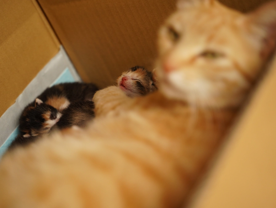 みんな元気です！