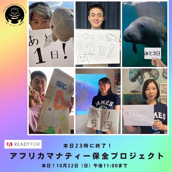 本日23時終了！最後までよろしくお願いいたします