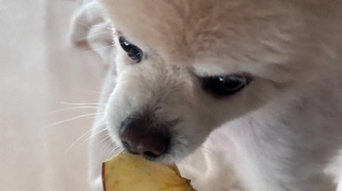 2/59 ☆ 手作りおやつ。