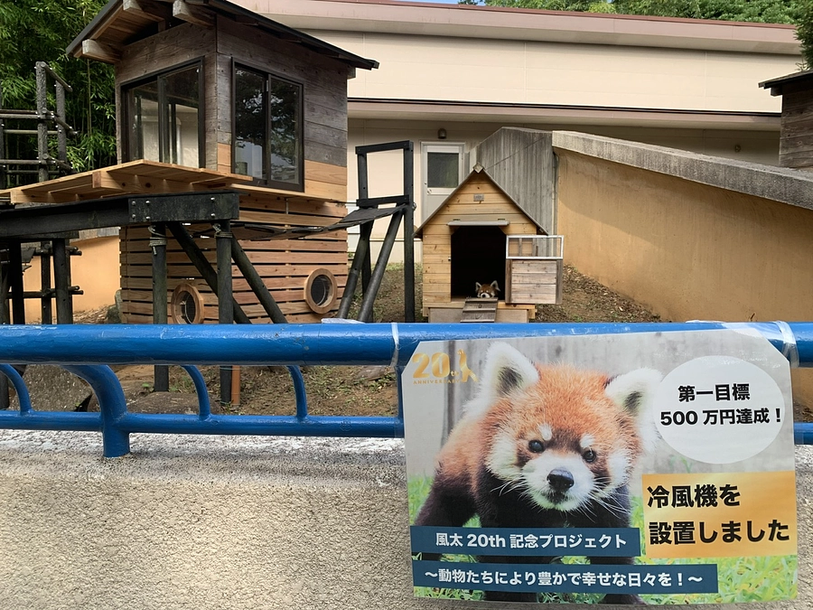 風太の展示場に冷風機設置しました！！