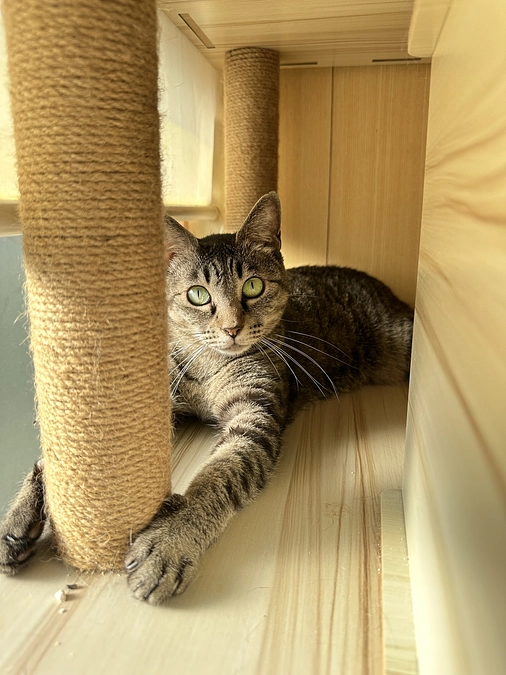 応援メッセージをいただきました！