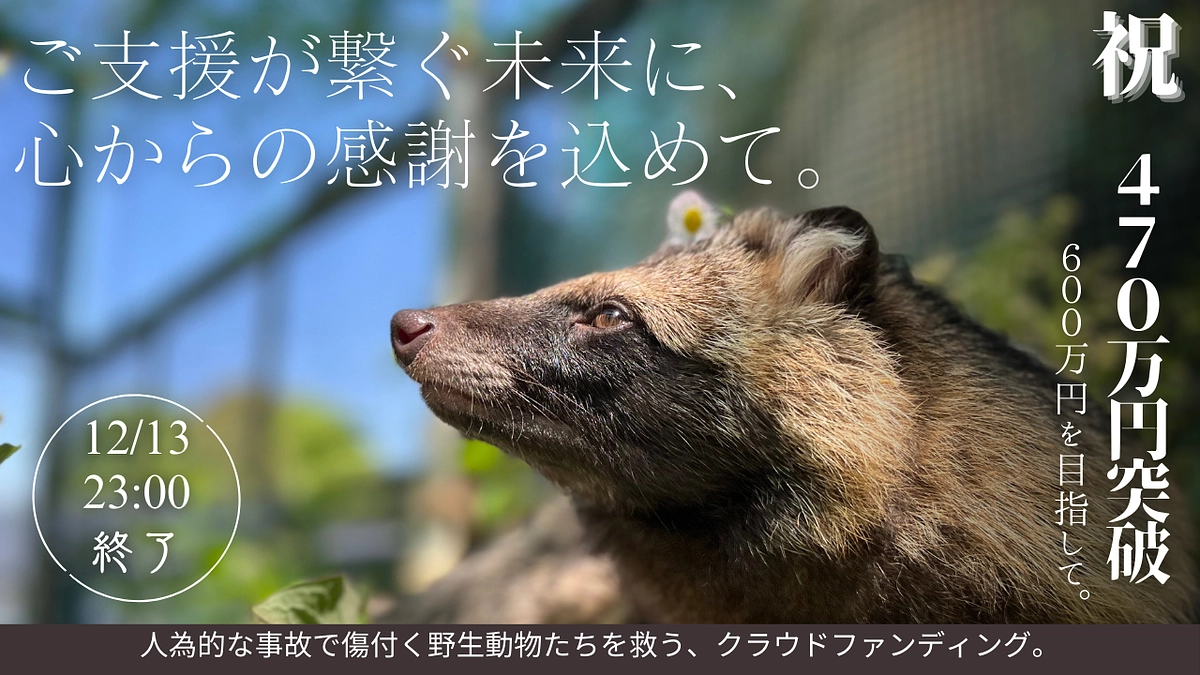 【クラファン残り5日】祝 第一ステップ470万円突破！！